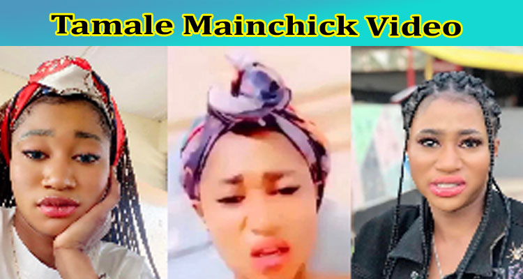 Tamale Mainchick Video: Wh It Is Going Viral On Reddit, Tiktok, Instagram, Youtube, Telegram & Twitter? Check Now!