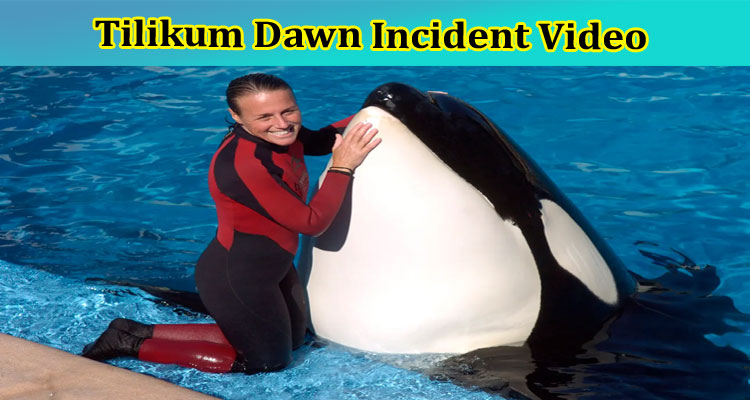 Tilikum Dawn Incident Video: Explore Complete Details On Tilikum and Dawn Story, Also Check Tilikum Kills Dawn Autopsy Photos And Report