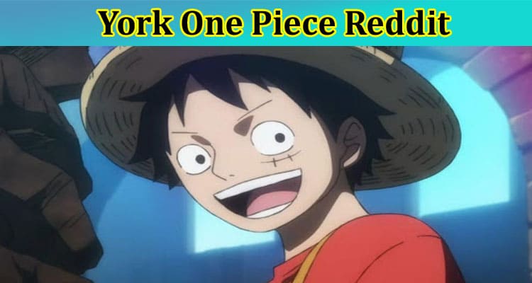 York One Piece Reddit: What About Vegapunk? Check Twitter Link Now!