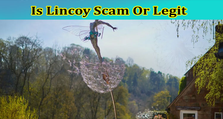 Is Lincoy Scam Or Legit {Mar} Check Complete Reviews!