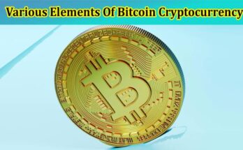 Understanding The Various Elements Of Bitcoin Cryptocurrency