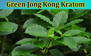 Complete Information About Why Is Green Jong Kong Kratom the Most Preferred Strain Among Users