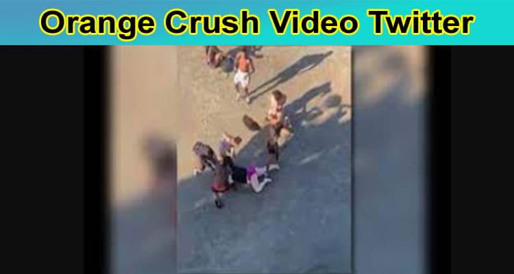 [Full Original Video] Orange Crush Video Twitter- Read All Information About Orange Crush Festival 2023, & Bathroom Video!