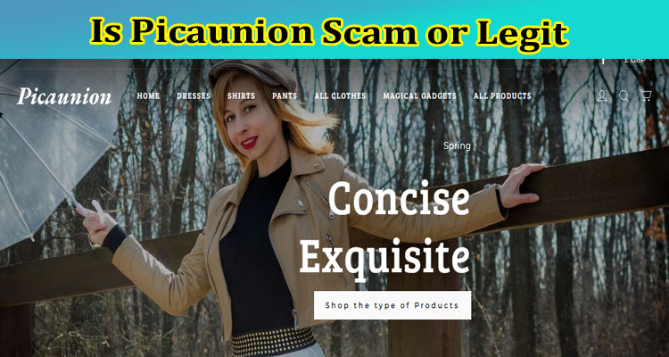 Is Picaunion Scam or Legit {April 2023} Get Reviews!