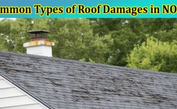 Complete Information About Common Types of Roof Damages in NOLA