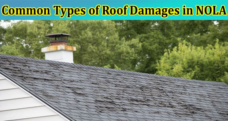 Complete Information About Common Types of Roof Damages in NOLA