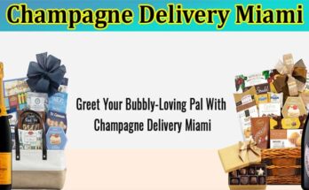Complete Information About Greet Your Bubbly-Loving Pal With Champagne Delivery Miami