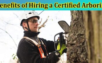 Complete Information About The Benefits of Hiring a Certified Arborist for Residential Tree Services