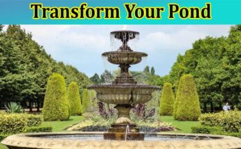 Complete Information About Transform Your Pond With 5 These Must-Have Fountains