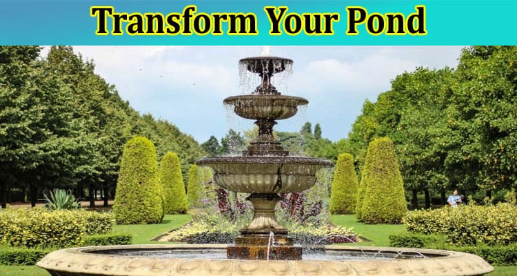 Transform Your Pond With 5 These Must-Have Fountains