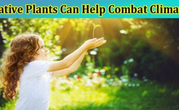 Complete Infromation About How Native Plants Can Help Combat Climate Change