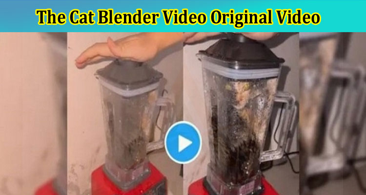 The Cat Blender Video Original Video: Check Cat Blender Video Originalsadclips472 Here!