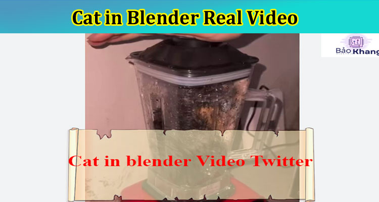 [Full Original Video] Cat in Blender Real Video-Check The Viral Video!