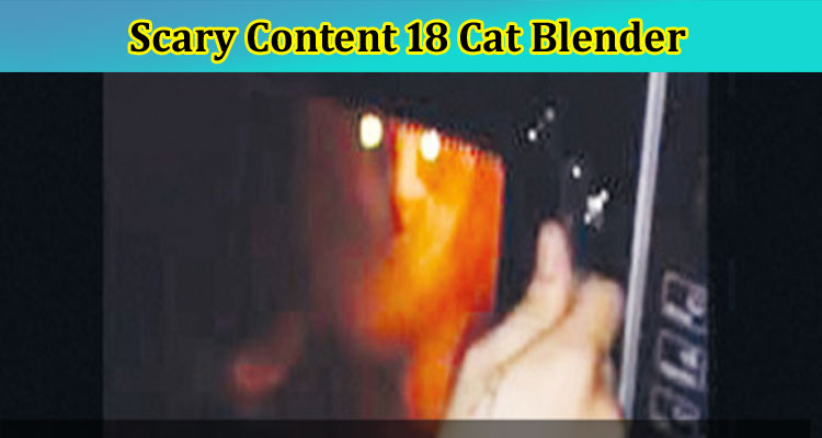 [Full Original Video] Scary Content 18 Cat Blender: Is The Video Footage Available on Twitter? Check Here!