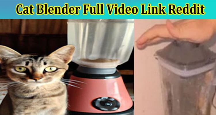 [Full Original Video] Cat Blender Full Video Link Reddit: Is This Sad Video Still Getting Viral On Reddit, Tiktok, Instagram & Telegram? Check Youtube & Twitter Links Now!