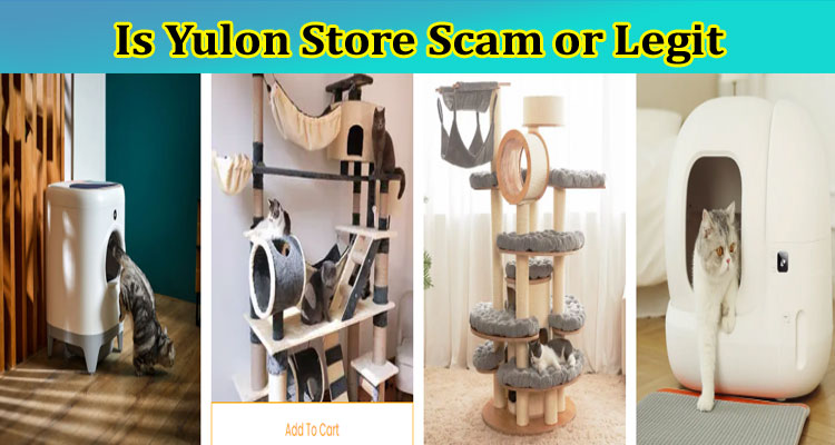 Is Yulon Store Scam or Legit {April 2023} Check Reviews Now!