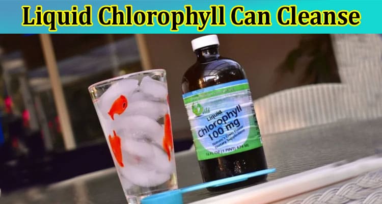 Complete Information About Nature’s Detoxifier - How Liquid Chlorophyll Can Cleanse and Energize Your Body