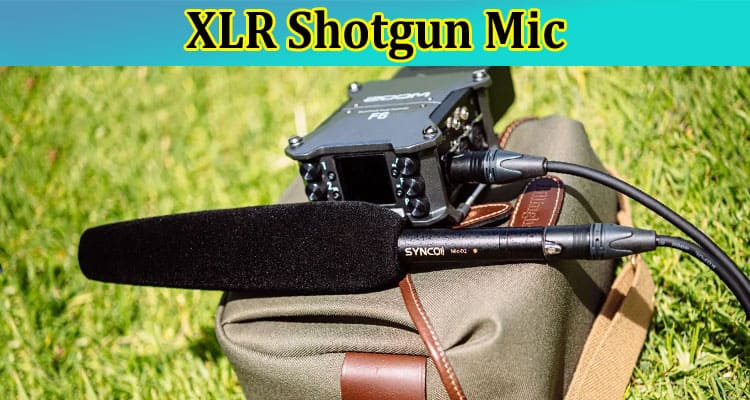 Complete Information About XLR Shotgun Mic - Four Basics You Should Know