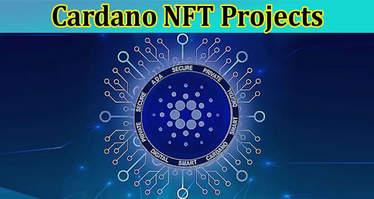 The Best Cardano NFT Projects to Buy in 2023