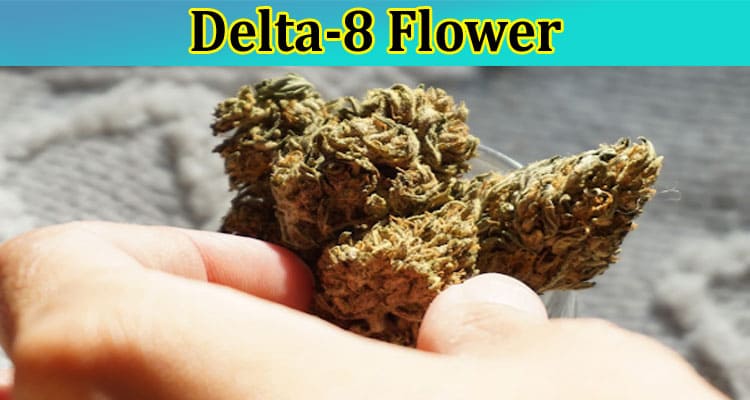 What Can You Do With Delta-8 Flower?