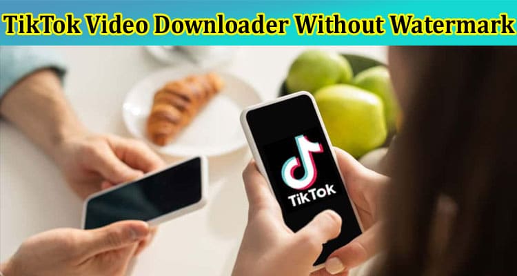 Complete Information About PPPTik.com Review - An Efficient TikTok Video Downloader Without Watermark