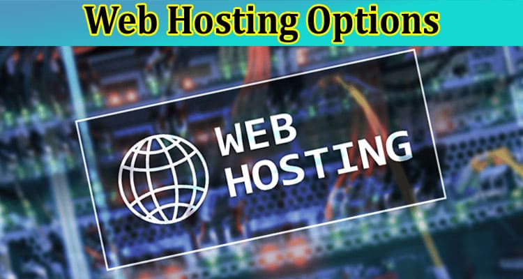 Complete Information About Web Hosting Options - The Best Solution for Your Website