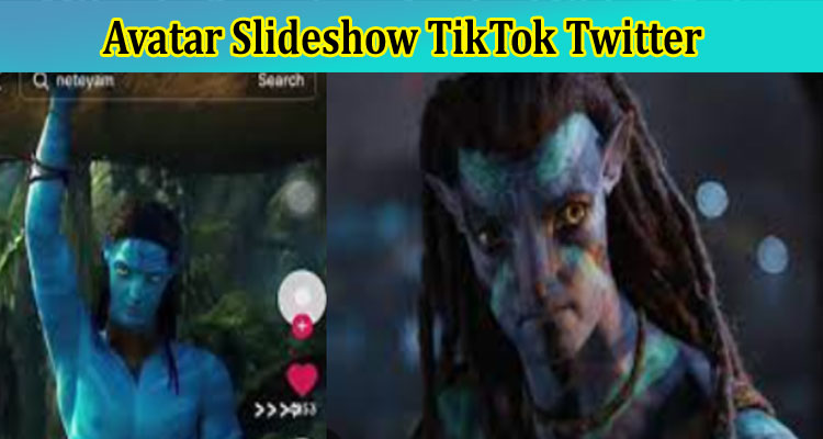 Latest News Avatar Slideshow TikTok Twitter