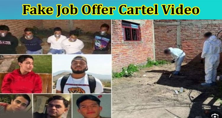 [Watch Link] Fake Job Offer Cartel Video: Explore Details On Lured Video