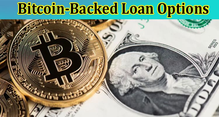 Worthwhile Bitcoin-Backed Loan Options to Consider