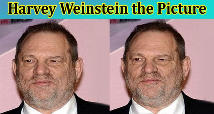 [unblurred] Harvey Weinstein the Picture: Why Ryan Dawson Pic, Entourage & Daughters Details Trending?
