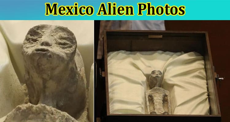 Latest News Mexico Alien Photos