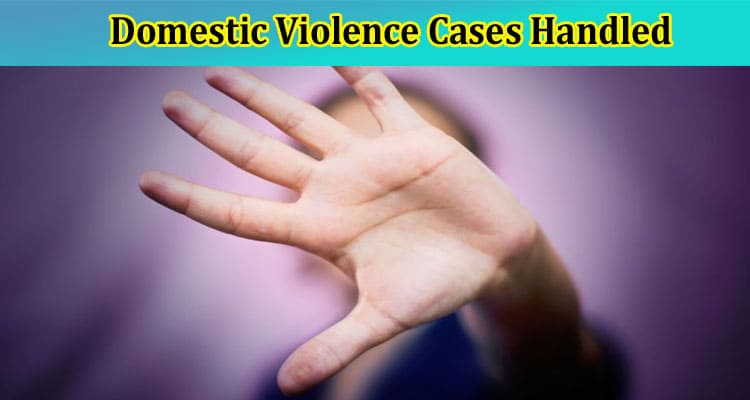 How Are Domestic Violence Cases Handled in California?