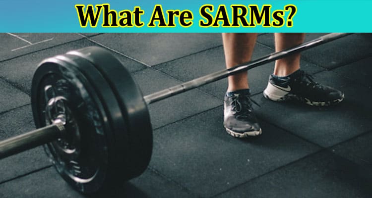 What Are SARMs A Guide For Beginners