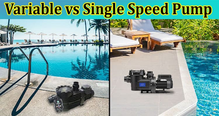 Variable vs Single Speed Pump: Which One is Best for Pool
