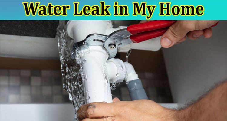 What Should I Do if I Have a Water Leak in My Home