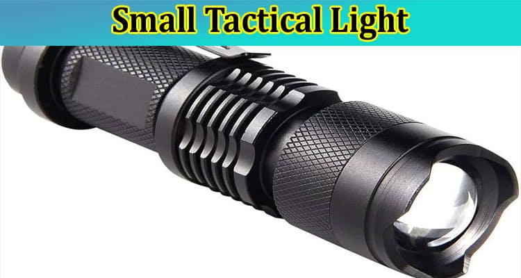 Exactly What Is the Purpose of a Small Tactical Light?
