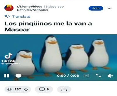 What is the “Los Pinguinos Me La Van a Mascar” Meme