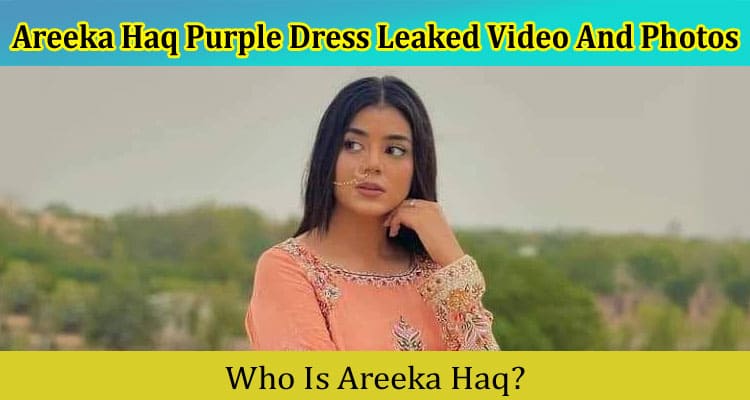 Latest News Areeka Haq Purple Dress Leaked Video And Photos