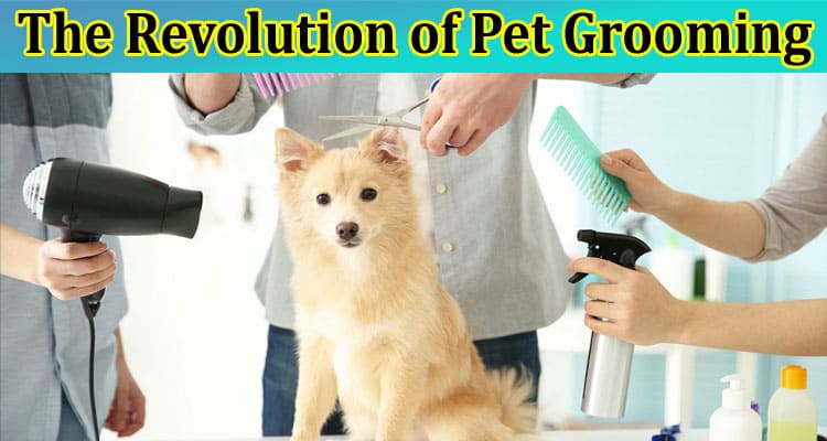 The Revolution of Pet Grooming: How Modern Software Enhances Your Pet’s Grooming Experience