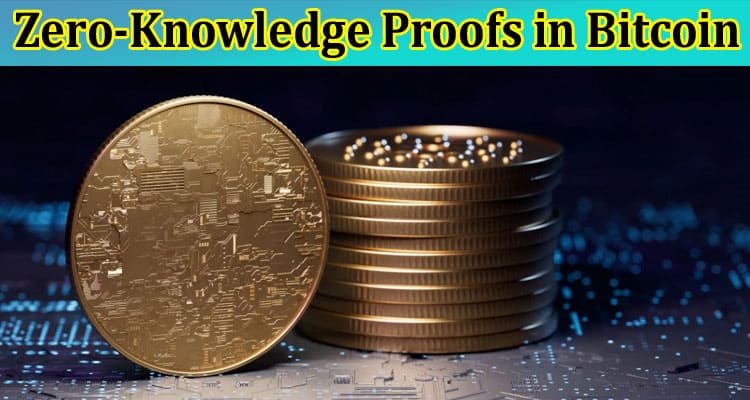 Complete Information Zero-Knowledge Proofs in Bitcoin
