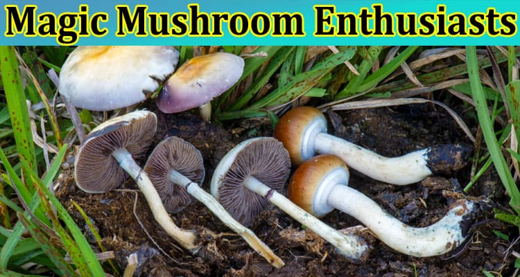 Essential Tips for Magic Mushroom Enthusiasts