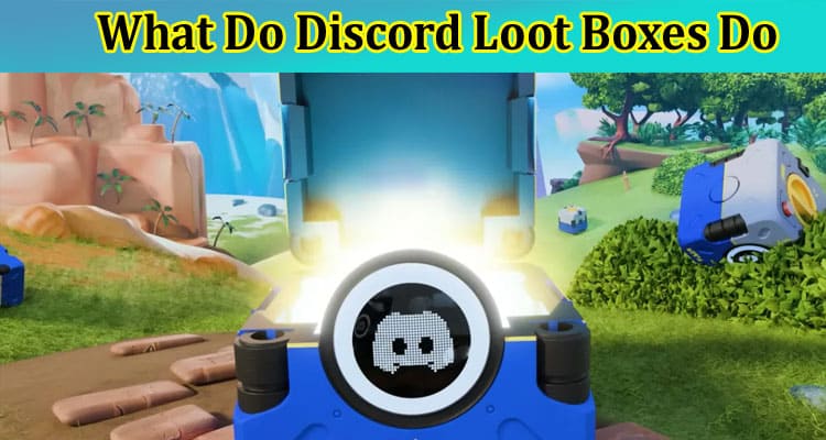 A Guide to What Do Discord Loot Boxes Do