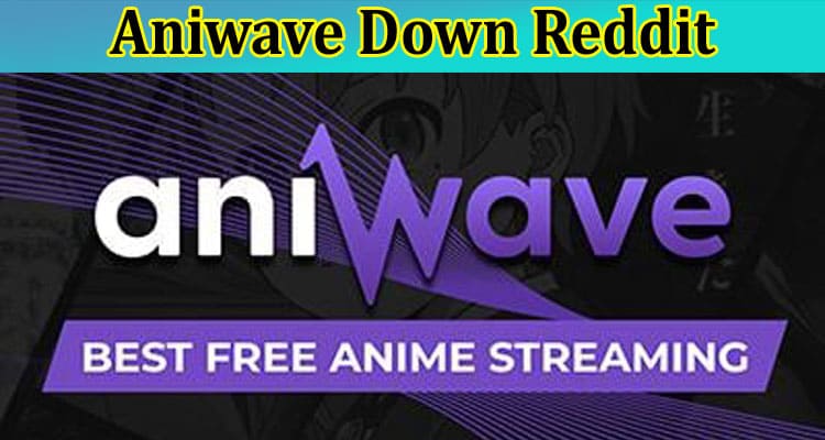 Latest News Aniwave Down Reddit